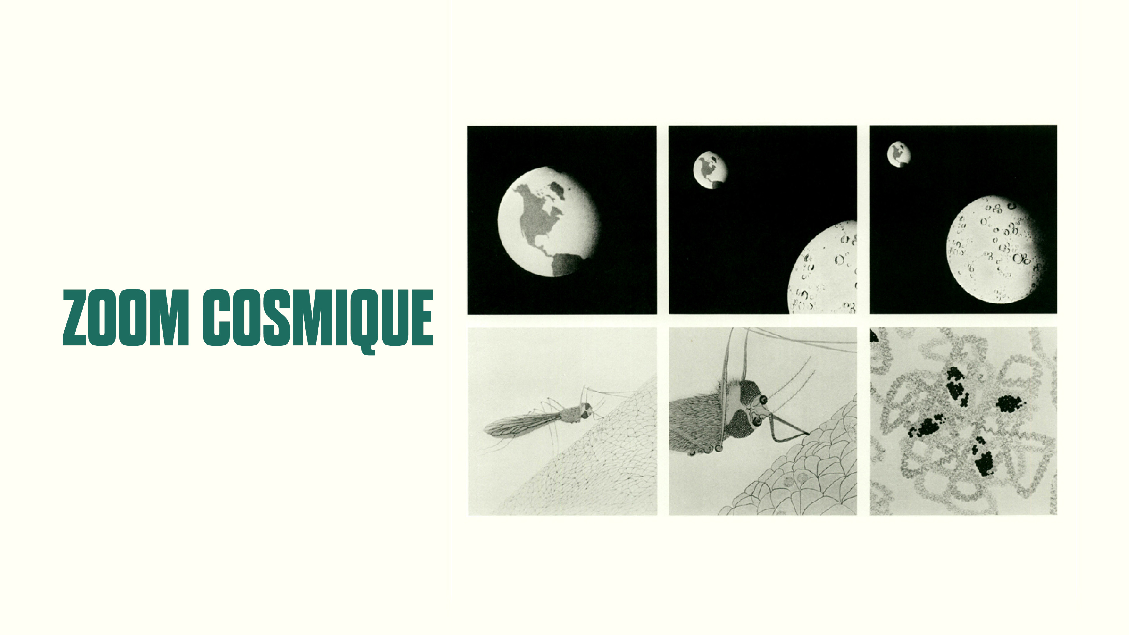 Image représentant la ressource: Zoom cosmique