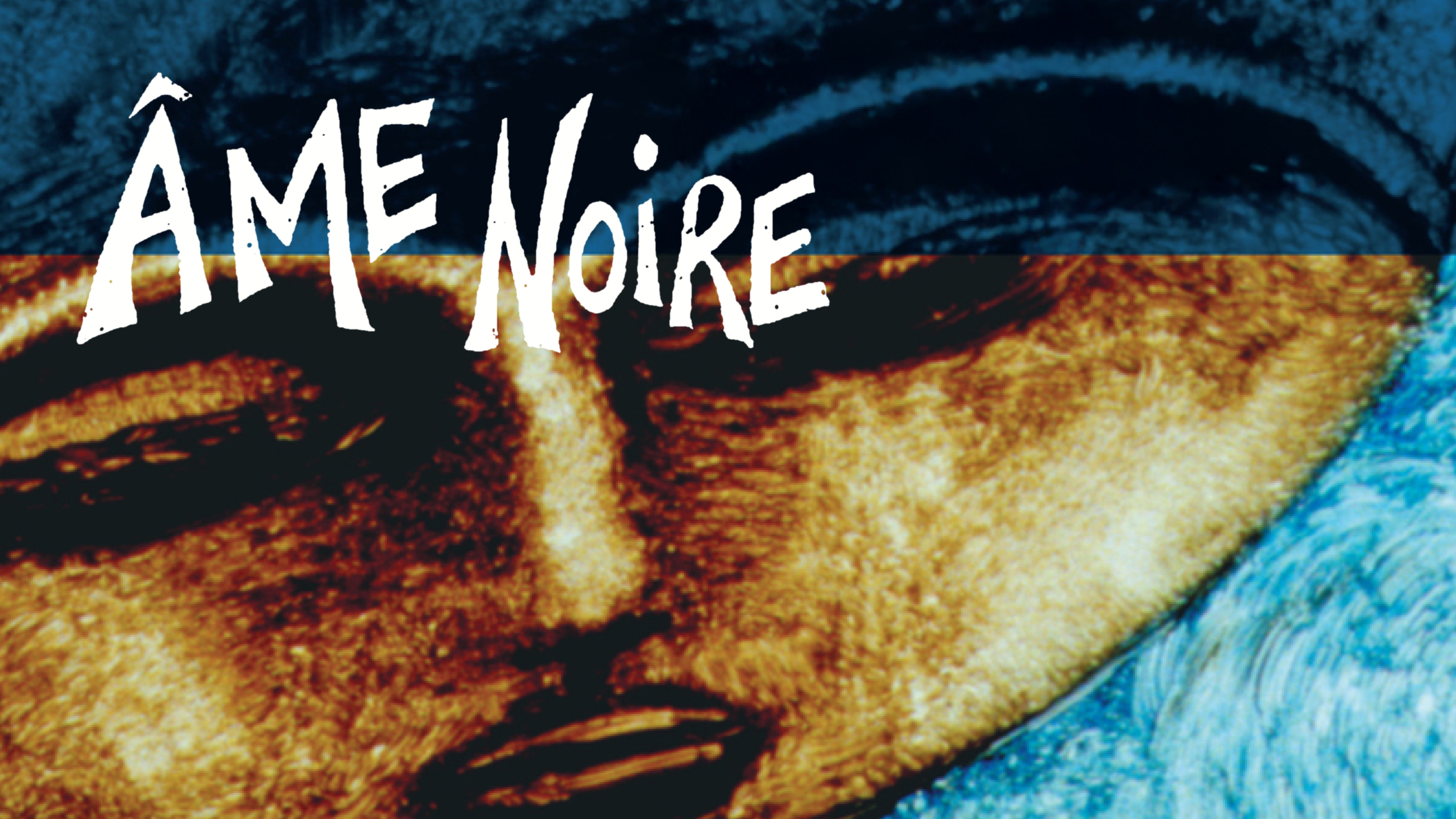 Image représentant la ressource: Âme noire