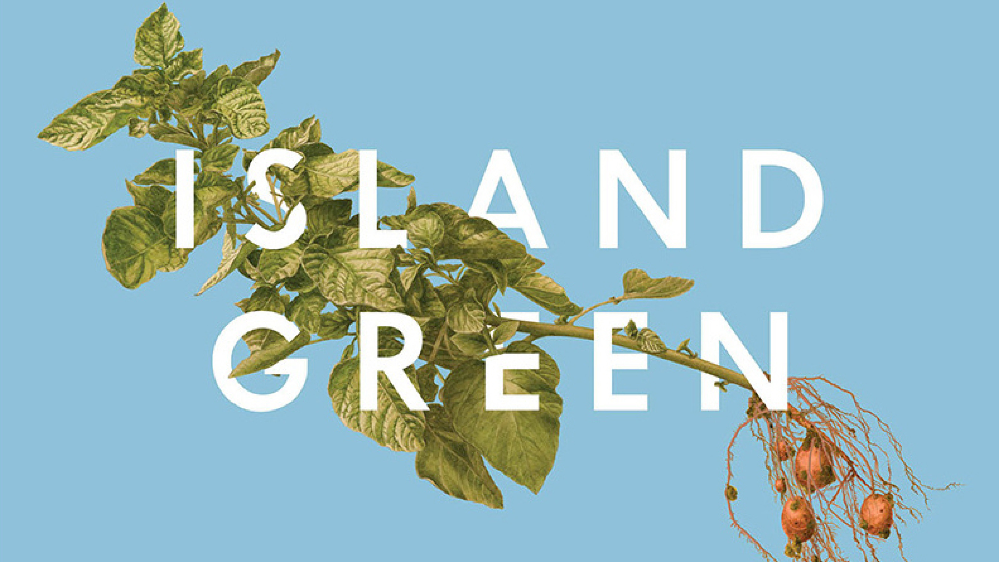 Image représentant la ressource: Island Green