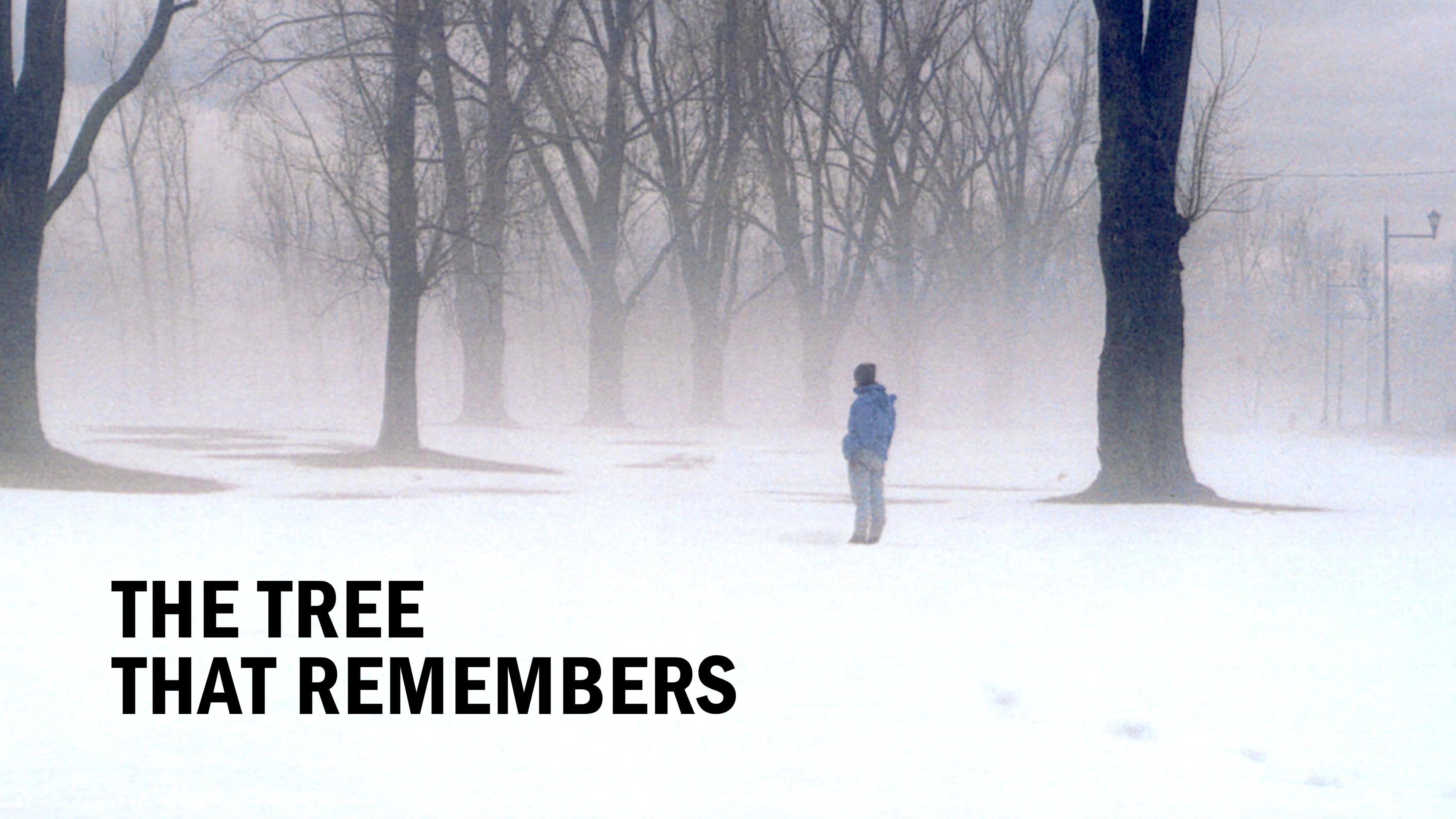 Image représentant la ressource: The Tree That Remembers