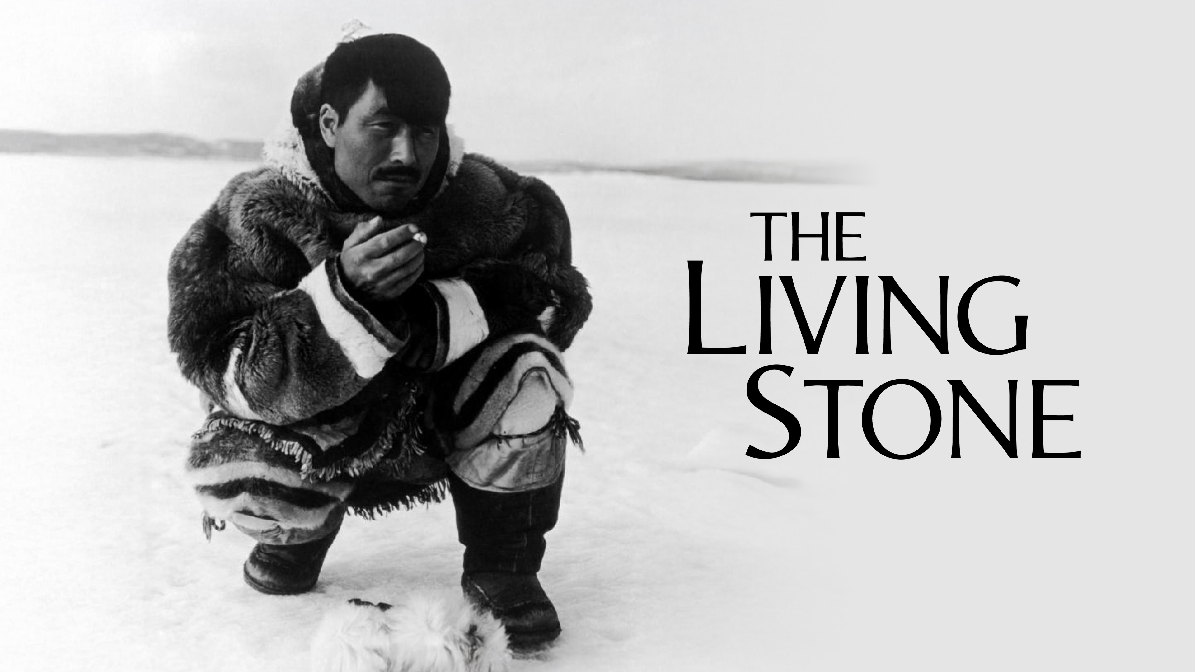 Image représentant la ressource: The Living Stone