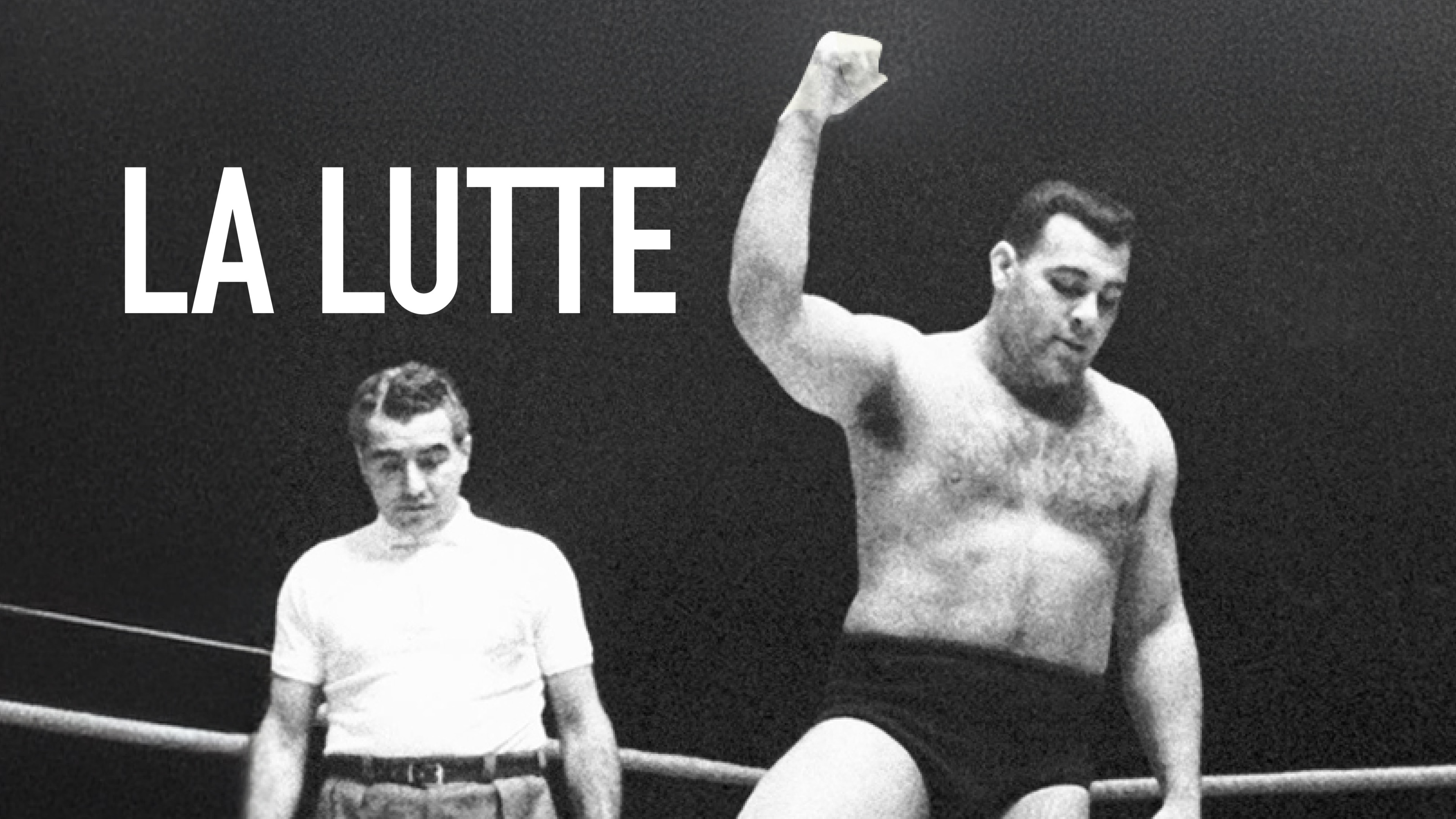 Image représentant la ressource: La lutte