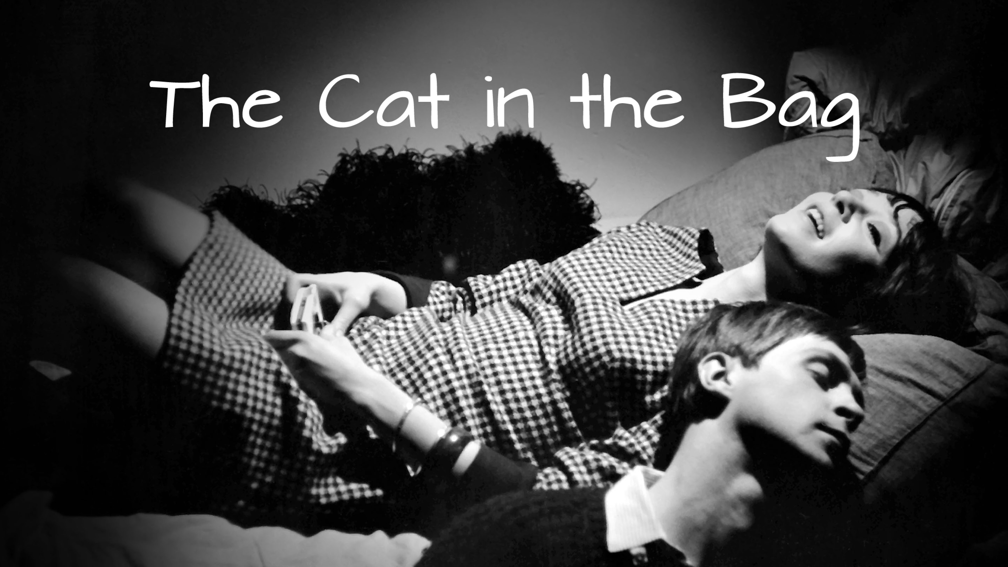 Image représentant la ressource: The Cat in the Bag