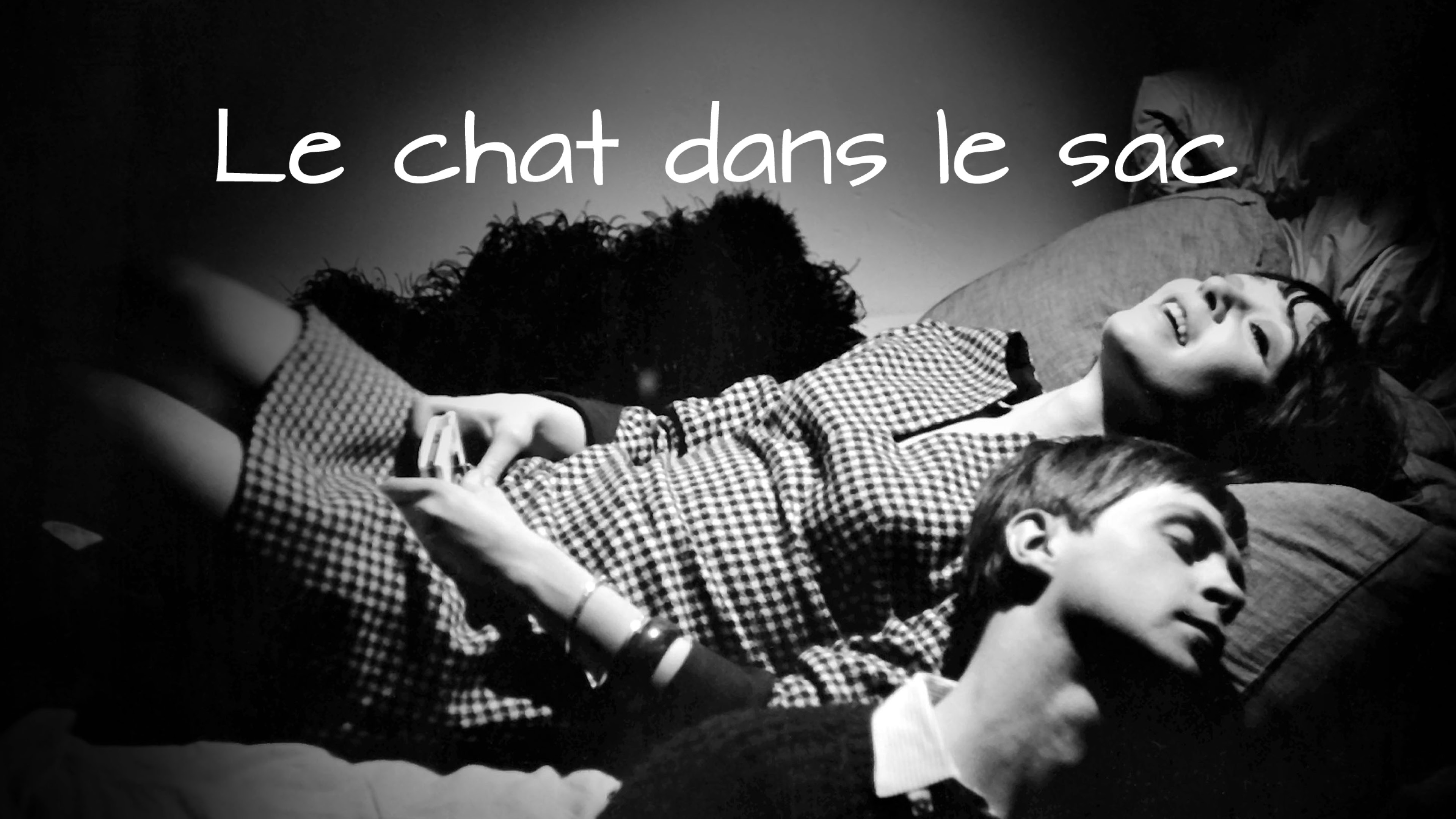Image représentant la ressource: Le chat dans le sac