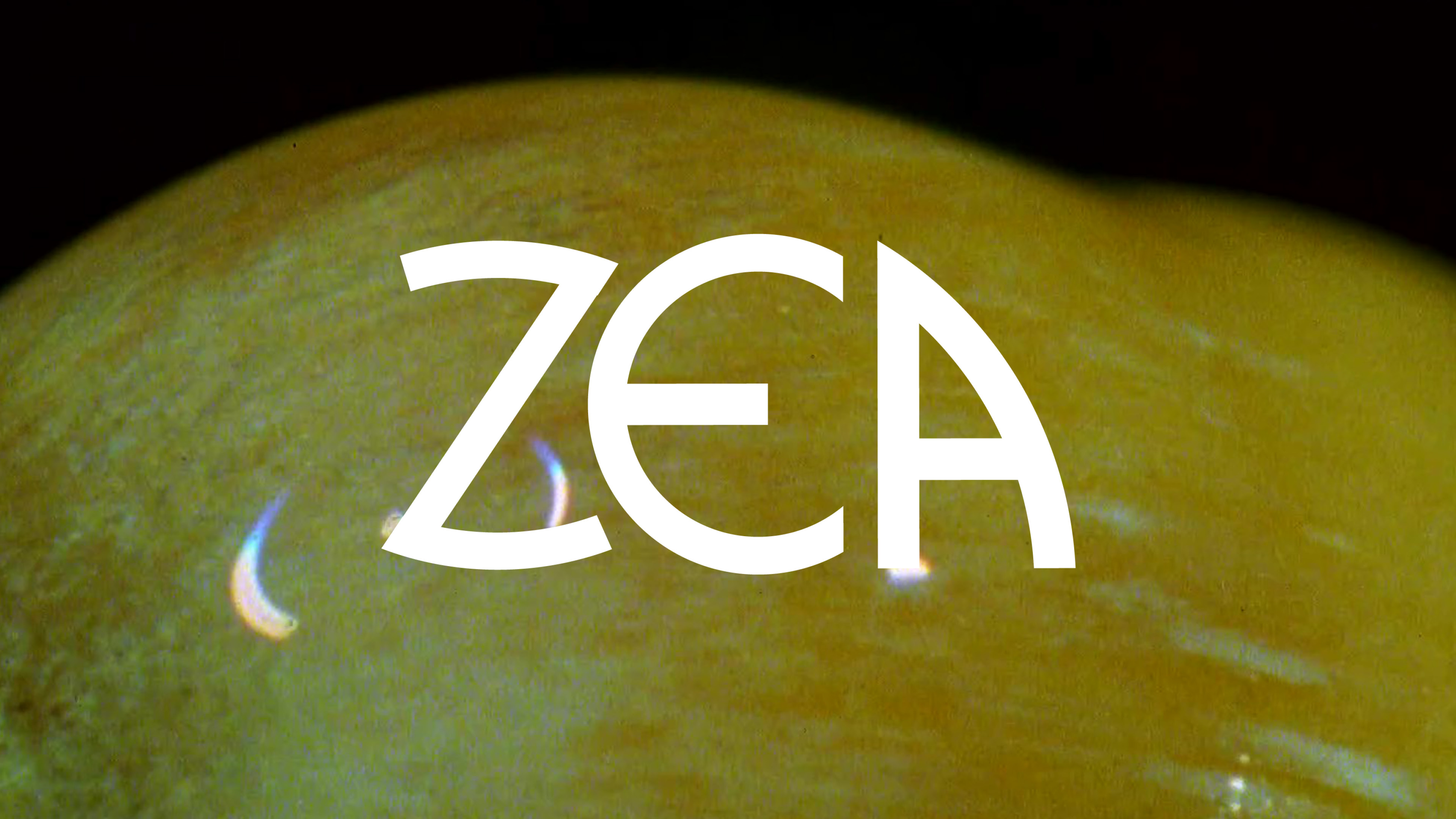 Image représentant la ressource: Zea